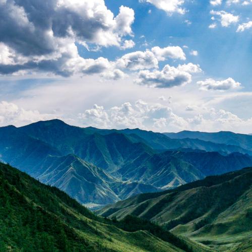 Photo #5466218