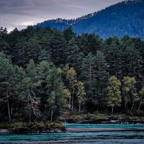Photo #5466221