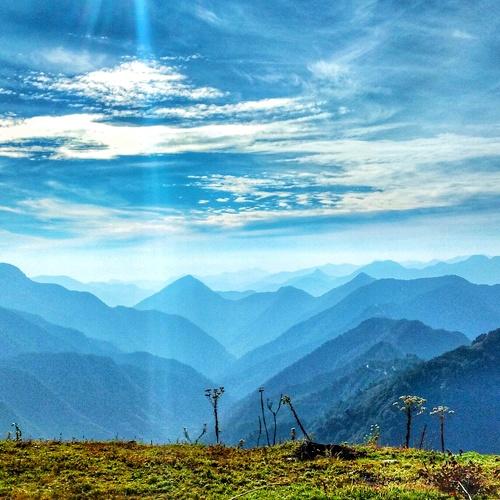 Photo #5466225