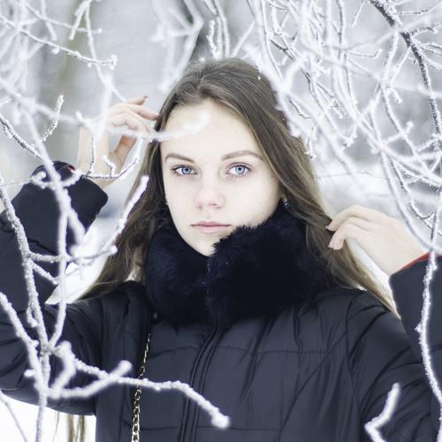 Photo #5466241