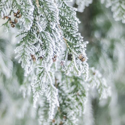 Photo #5466276