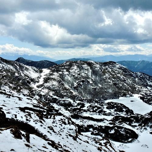 Photo #5466279