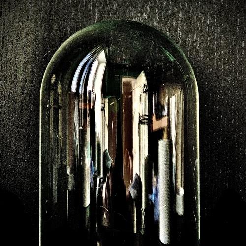Photo #5466758