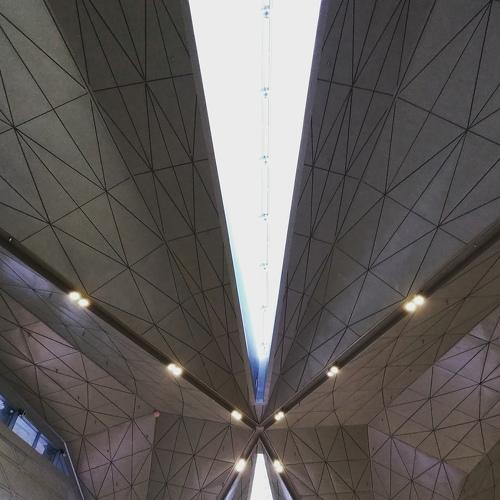 Photo #5467353