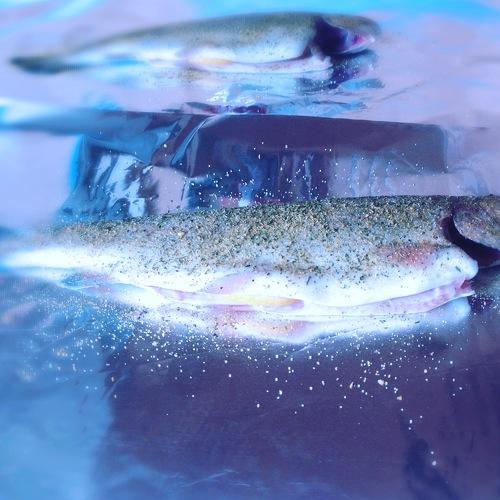Photo #5467439