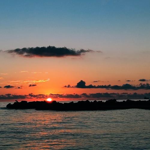 Photo #5467802