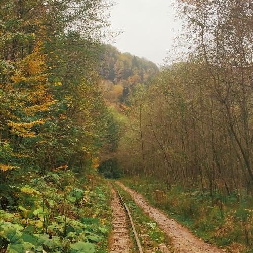 Photo #5467812