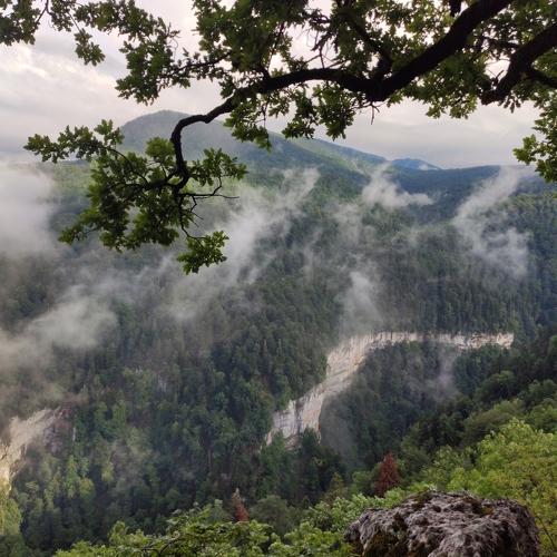 Photo #5468168