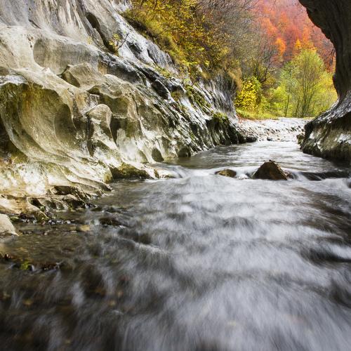 Photo #5468217