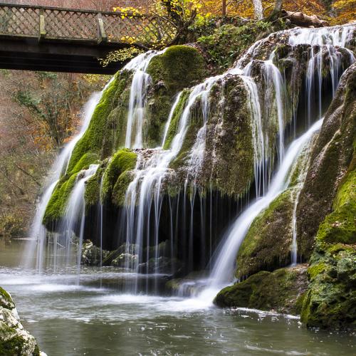 Photo #5468221