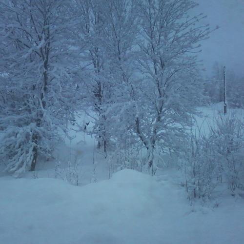 Photo #5468399