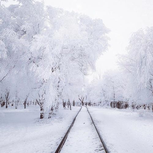 Морозное утро
