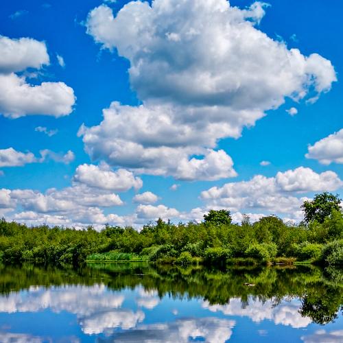 Mirror by Nature