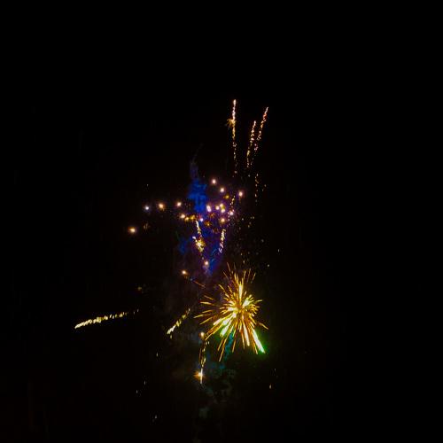 Photo #5468556