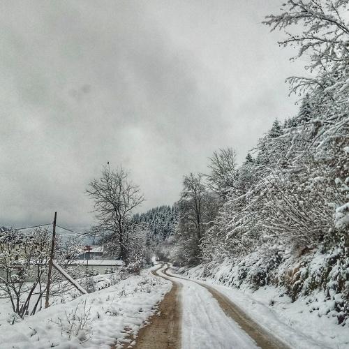 Photo #5468579