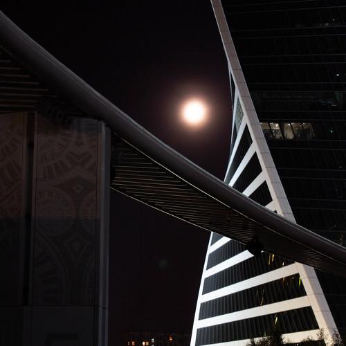 Photo #5468590