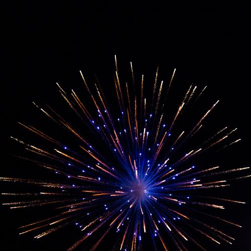 Photo #5468593
