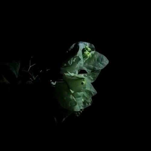 Under the solar lamp post