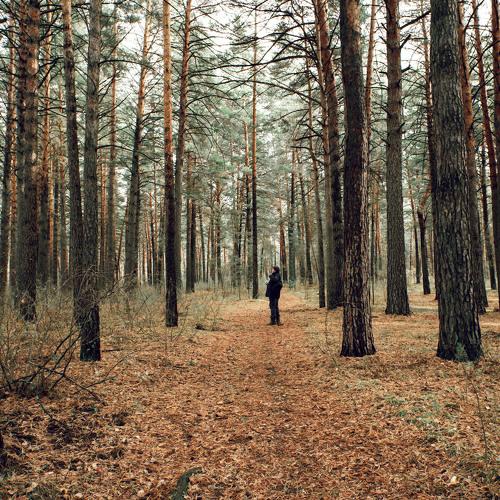 Photo #5469227