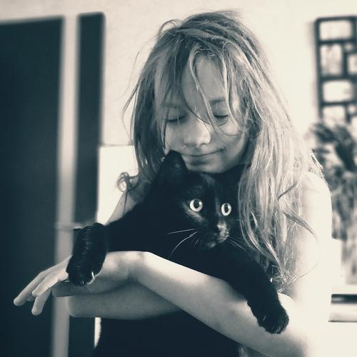Photo #5469982