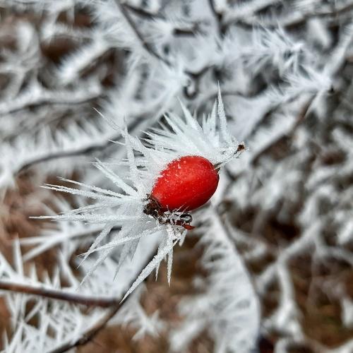 Photo #5470178