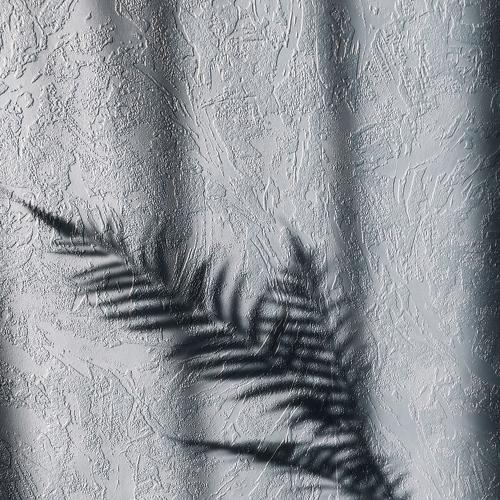 Photo #5470418