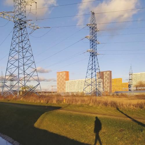 Photo #5470631