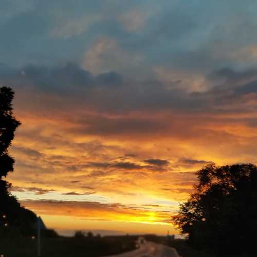 Photo #5471384
