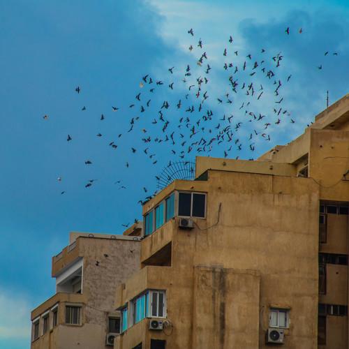 Photo #5471566