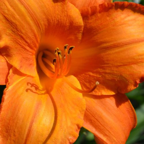 Photo #5471713