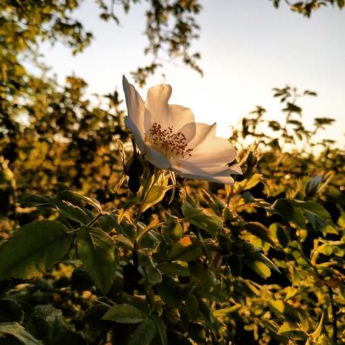 Photo #5471757