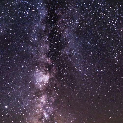 Photo #5471910