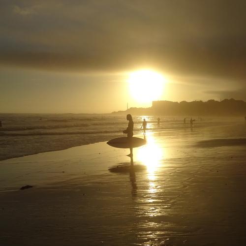 Photo #5472756