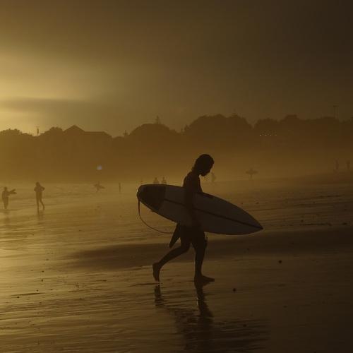 Photo #5472768
