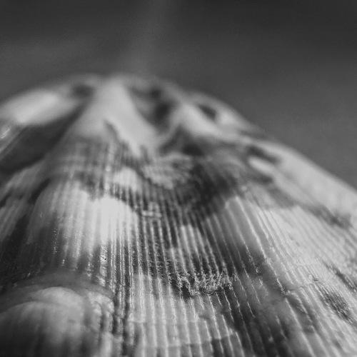 Photo #5472792