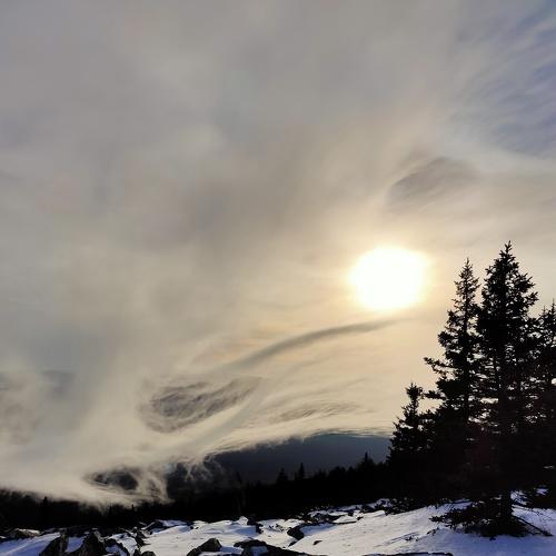 Photo #5472795