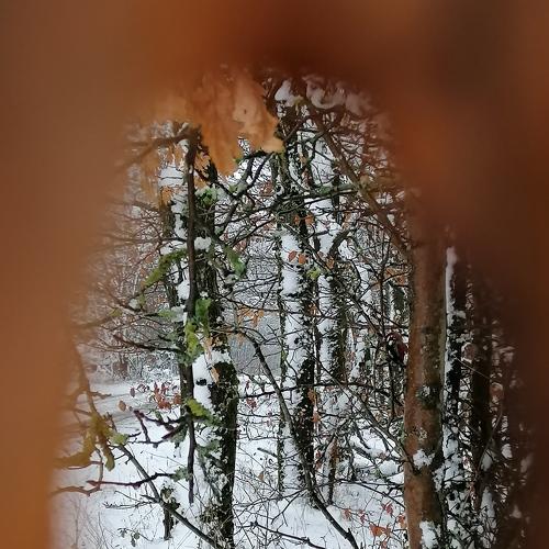 Photo #5472804