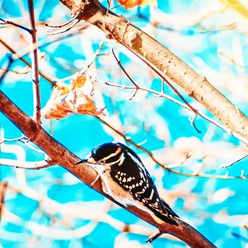 Photo #5472816