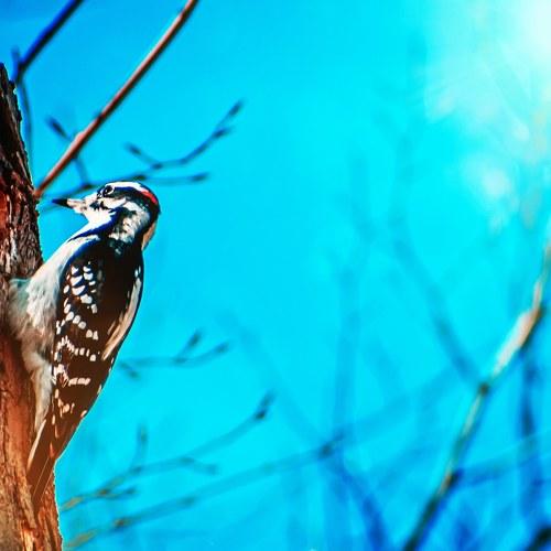 Photo #5472817