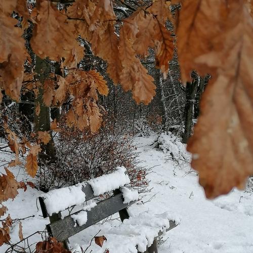 Photo #5472821