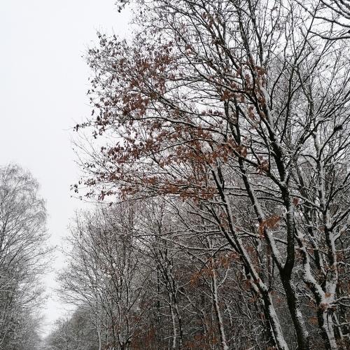 Photo #5472826