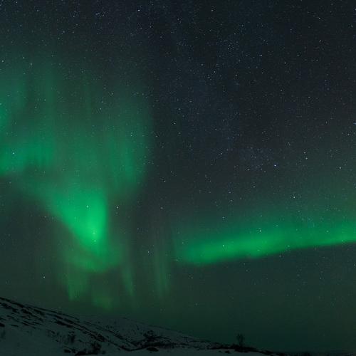 Photo #5473012