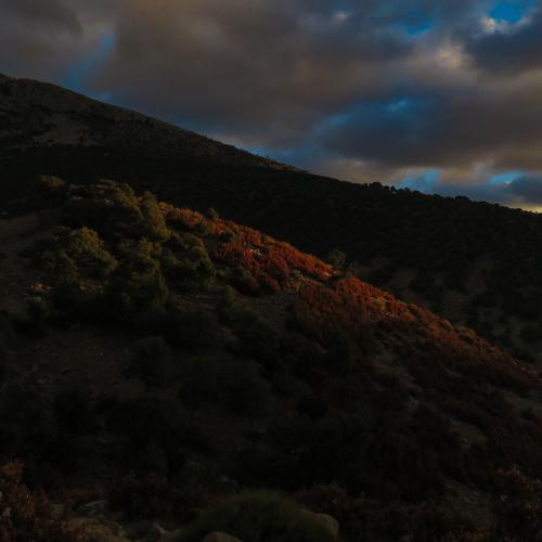 Photo #5473062