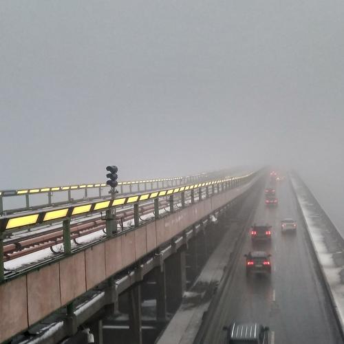 Photo #5473319