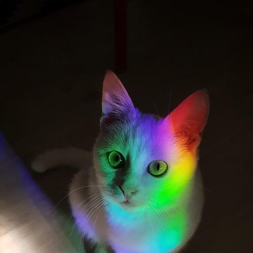 Photo #5473435