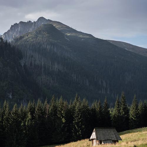 Photo #5473932