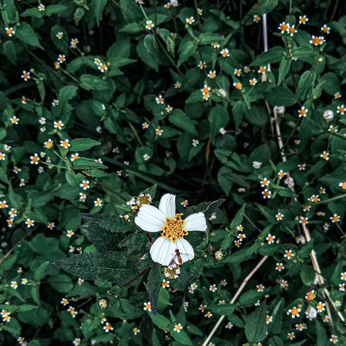 Photo #5474500