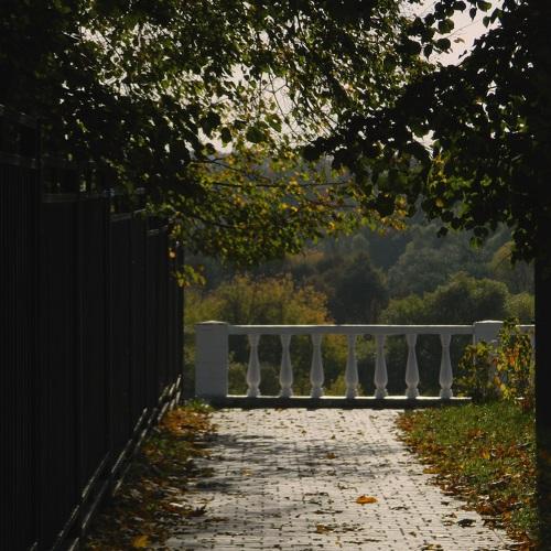 Photo #5474785