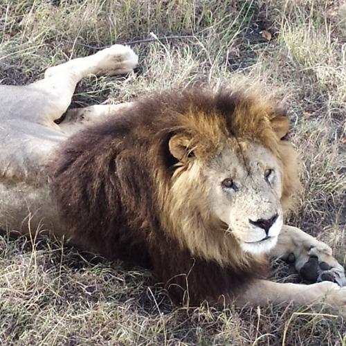 Photo #5474810