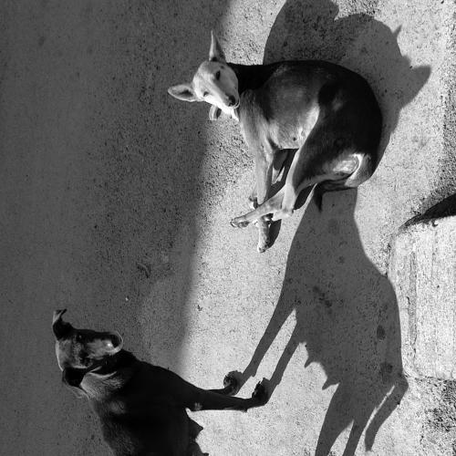 Photo #5474812